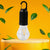 Rechargeable LED Camping Lantern – 3 Modes, Portable with Clip Hook (1 Pc)