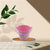 Small Metal Bucket for Plants & Decor (1 Pc, With Handle)