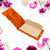 Wedding Money Gift Envelopes Multicolor Shagun Pack (5 Pcs Set)