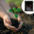 SoilEssence Vermicompost