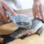 Fish scale scraper and skin peeler tool for kitchen use.