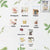 Fruit Seeds Pack